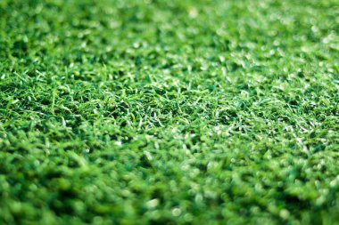 Yeşil yapay çim seçici bir odak ile kapanıyor. Kopyalama alanı olan yeşil yapay çimen arkaplanı.