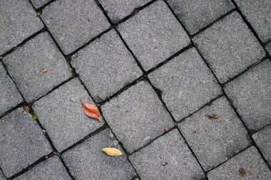 Kurumuş yaprakları ve gri beton dokusu olan eskimiş kiremitler. Endüstriyel arka plan için doku ve Desen.