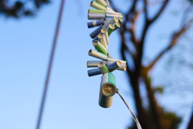 Ağaçta asılı bir kestane fişeği dizisi ve açık mavi gökyüzü arkaplanı sabah.