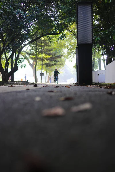 在一个城市公园的人行道上 一个中年男子骑着一辆自行车在远处骑着一个中年男子的轮廓 这是由干叶构成的抽象背景 秋天和大自然的抽象背景概念 — 图库照片