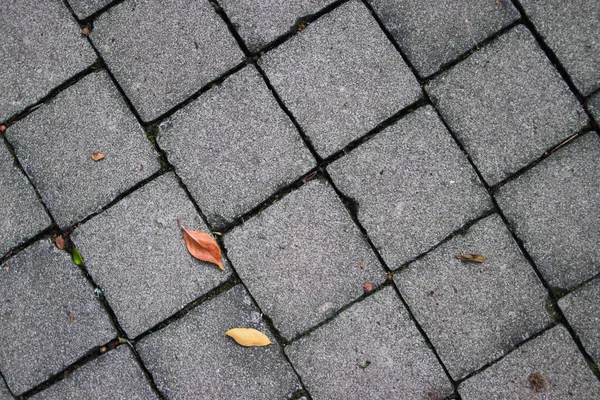 나뭇잎 콘크리트 텍스처가 줄무늬 산업적 배경을 — 스톡 사진