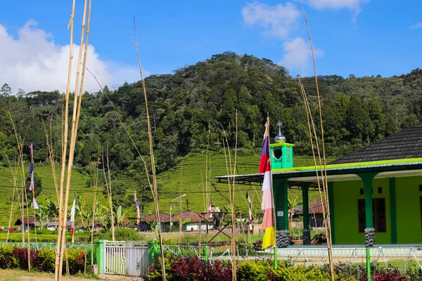 Endonezya Çay Tarlalarının Ortasındaki Kırsal Atmosfer Manzarası — Stok fotoğraf
