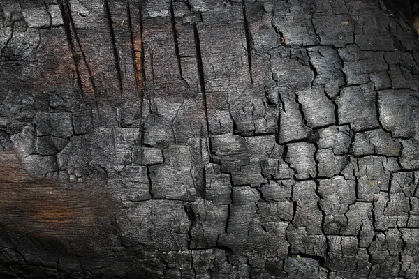Schwarz Verbrannt Holz Textur Hintergrund — Stockfoto