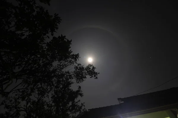 Moon Halo Landscape Tree Silhouette Midnight — Stock Photo, Image