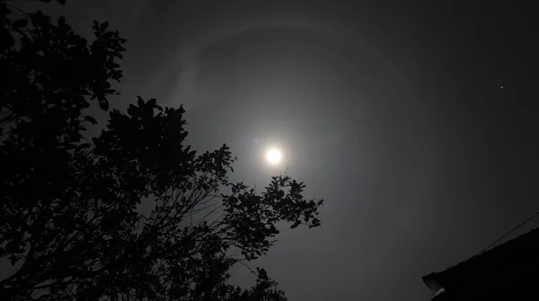 Księżyc Halo Krajobraz Sylwetką Drzewa Północy — Zdjęcie stockowe