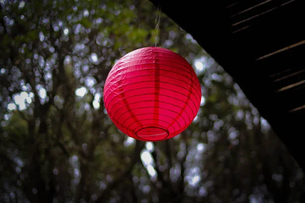Linterna Roja Con Fondo Borroso Árboles Linterna China Año Nuevo — Foto de Stock