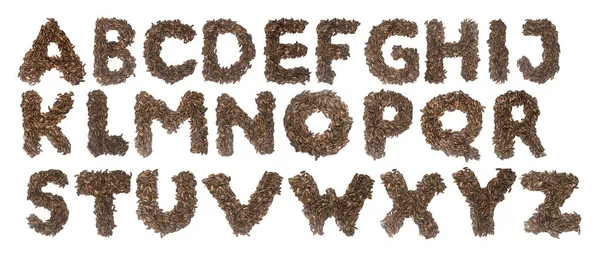 Abc Alphabet Made Sunflower Seeds Isolated White Background — Stock Photo, Image