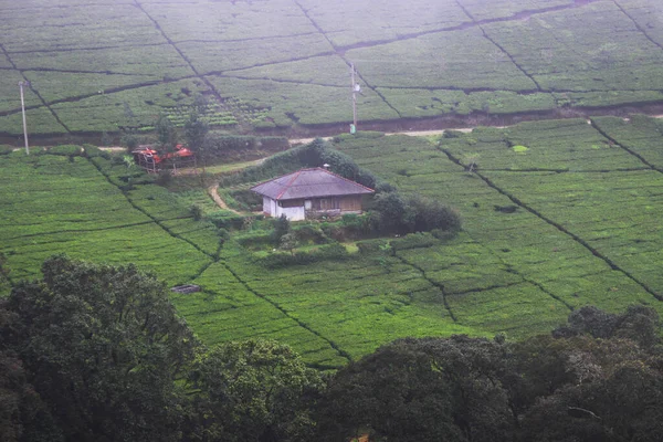 Vista Paisagem Uma Aldeia Remota Meio Uma Plantação Chá Envolta — Fotografia de Stock