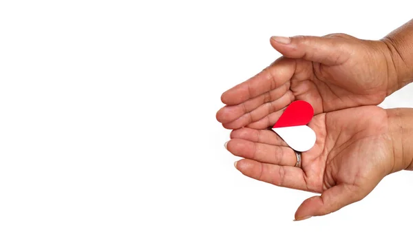 stock image Hand holding a red and white paper heart love-shaped with empty copy space isolated on a white background, representing Indonesia Independence Day concept