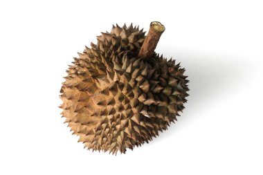Beyaz arka planda izole edilmiş dikenli kabuğu ile olgun durian meyvesi.