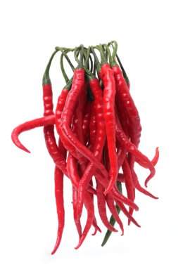 Taze kıvırcık kırmızı biber (Cabai Merah Keriting) beyaz arka planda izole edilmiştir