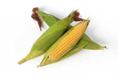 Beyaz arkaplanda izole edilmiş tatlı mısır