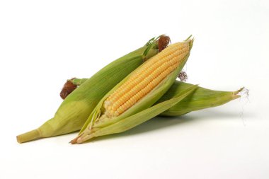 Beyaz arkaplanda izole edilmiş tatlı mısır
