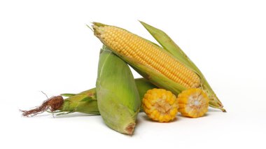 Beyaz arkaplanda izole edilmiş tatlı mısır