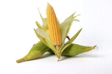 Beyaz arkaplanda izole edilmiş tatlı mısır