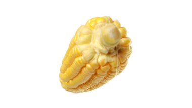 Beyaz arkaplanda izole edilmiş tatlı mısır