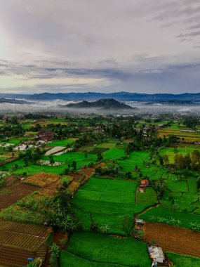 Sukabumi, Batı Java, Endonezya 'da sabah sisiyle kaplanmış sakin bir vadinin havadan görünüşü. Yuvarlanan tepeler ve uzak dağlar sisten çıkar dramatik ve sakin bir manzara yaratır..