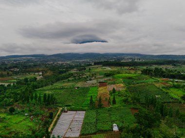 Aerial view of Mount Gede Pangrango from Sukabumi, with a hint of fog in the distance. Rolling hills covered in lush greenery and farmlands with neatly arranged crops complete the picturesque scene clipart