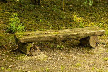 Ormanda gizlenmiş eski bir ahşap bank. Uzun bir yürüyüşten sonra dinlenmek için güzel bir yer..
