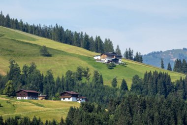 Eben im Pongau, Salzburg - Avusturya. Manzara, güzel evleri, yemyeşil ağaçları ve yemyeşil otlakları olan güzel alp yaylalarını gözler önüne seriyor..