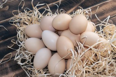 Taze toplanmış organik yumurta. Yumurtalar bize A Close-Up Perspective proteini verebilir. - Evet. Yüksek kalite fotoğraf