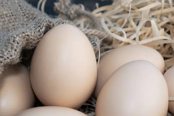 Eggs for Wellness. Eggs can give we protein A Close-Up Perspective. . High quality photo