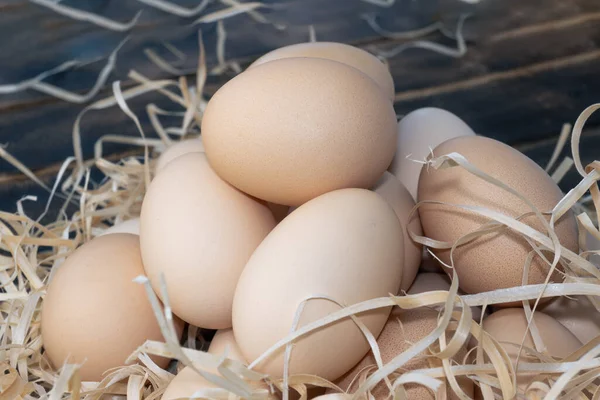 Farm-Fresh Eggs. Eggs can give we protein A Close-Up Perspective. . High quality photo