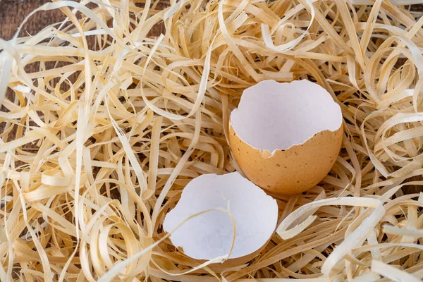 Broken egg, egg shell, broken brown chicken egg in a straw nest. High quality photo