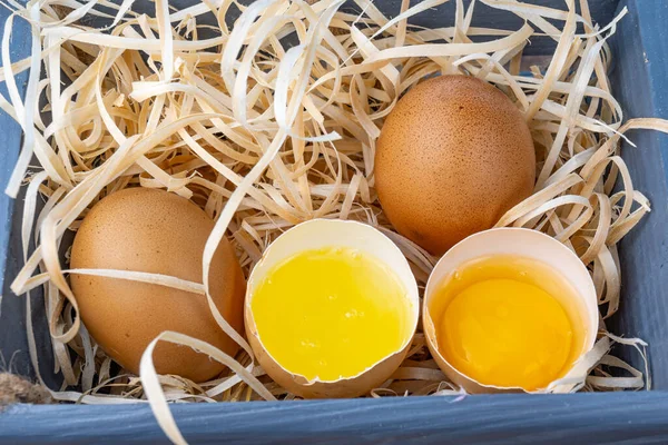 Broken eggs. Homemade chicken eggs. Egg yolk, white. Eggs in a wooden stand. High quality photo