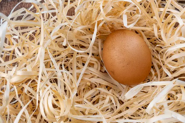 One chicken egg in the nest. Natural chicken egg. Fresh brown egg in a straw nest. High quality photo