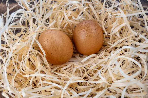 Two eggs in a nest. Homemade chicken eggs. Brown chicken eggs. Chicken eggs close up. High quality photo