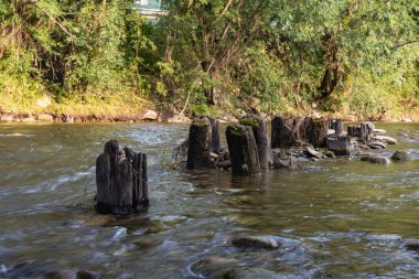 Dağ nehri, güçlü akıntı, ağaç kütükleri, nehirdeki taşlar, arka plandaki ağaçlar. Yüksek kalite fotoğraf