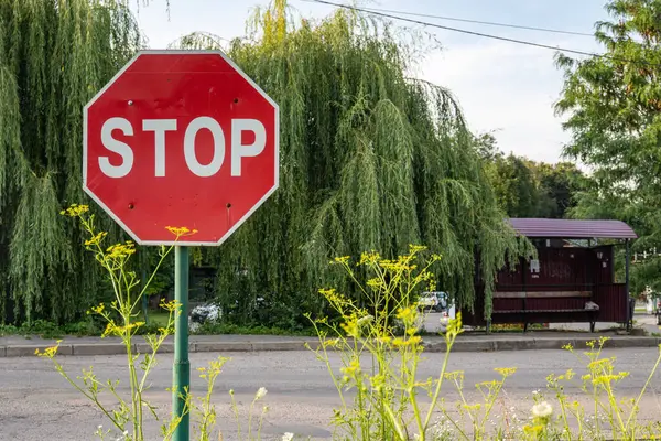 STOP sign close-up, the sign is overgrown with bushes, in the background there is a road, trees. High quality photo