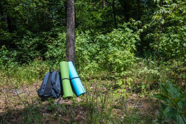 Ormandaki bir ağacın altında iki halı ve bir sırt çantası var. Yürüyüşte dinlenin. Yoga, ormanda jimnastik. Yüksek kalite fotoğraf