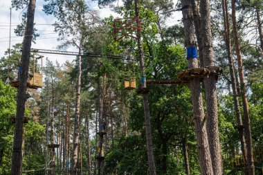 Çam ormanındaki çocuklar için ip eğlence parkı. Güneşli bir yaz günü. Yüksek kalite fotoğraf