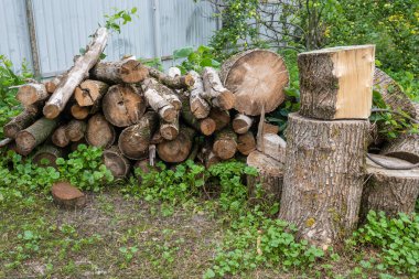 Yeşil çimlerle çevrili yakacak odun yığınını yere yığmışlar. Yüksek kalite fotoğraf
