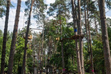 Çam ormanındaki çocuklar için ip eğlence parkı. Alt manzara. Yüksek kalite fotoğraf