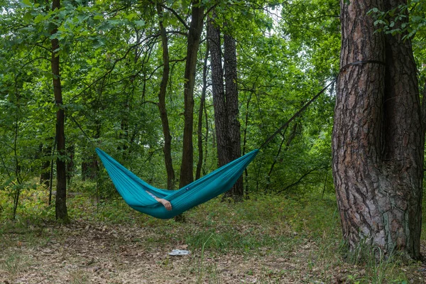 The girl lies in a camping hammock tied to trees in the forest. Camping. Camping, hiking. High quality photo
