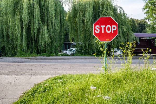 A STOP road sign was installed at an intersection overgrown with bushes and grass. Road and trees in the background. High quality photo