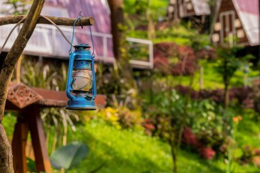 Güzel bir kuşun yakın çekimi.