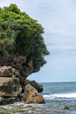 Doğanın güzel manzarası