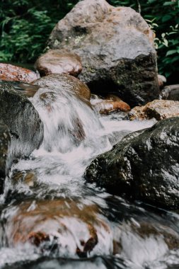 Ormanda güzel bir şelale
