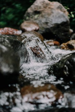 Ormandaki bir şelalenin dikey yakın çekimi.