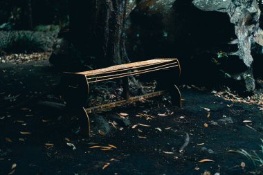 Ormanda ahşap bir bank