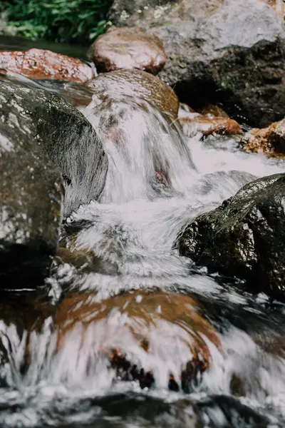 Ormanda güzel bir şelale