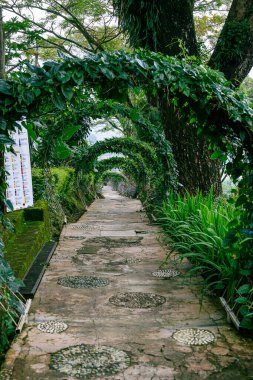 Parkın güzel manzarası