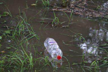Suda yüzen tek kullanımlık plastik şişe.