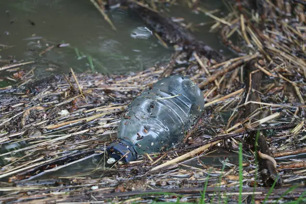 discarded single-use plastic bottle floating in the water