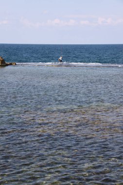 Balıkçı oltasını atmak için sığ sularda duruyor.