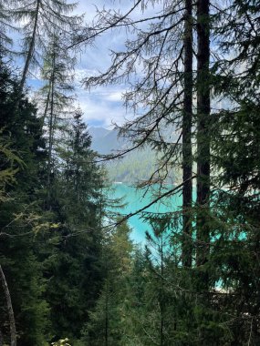 Antholz Gölü 'nün zümrüt yeşili suyu ve etrafındaki ormanın kozalaklı ağaçlarının arasından görünen yüksek Dolomiti dağları. 